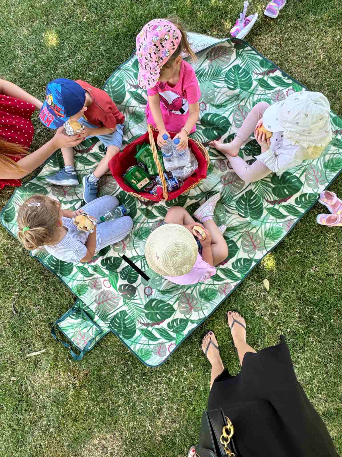 piknik